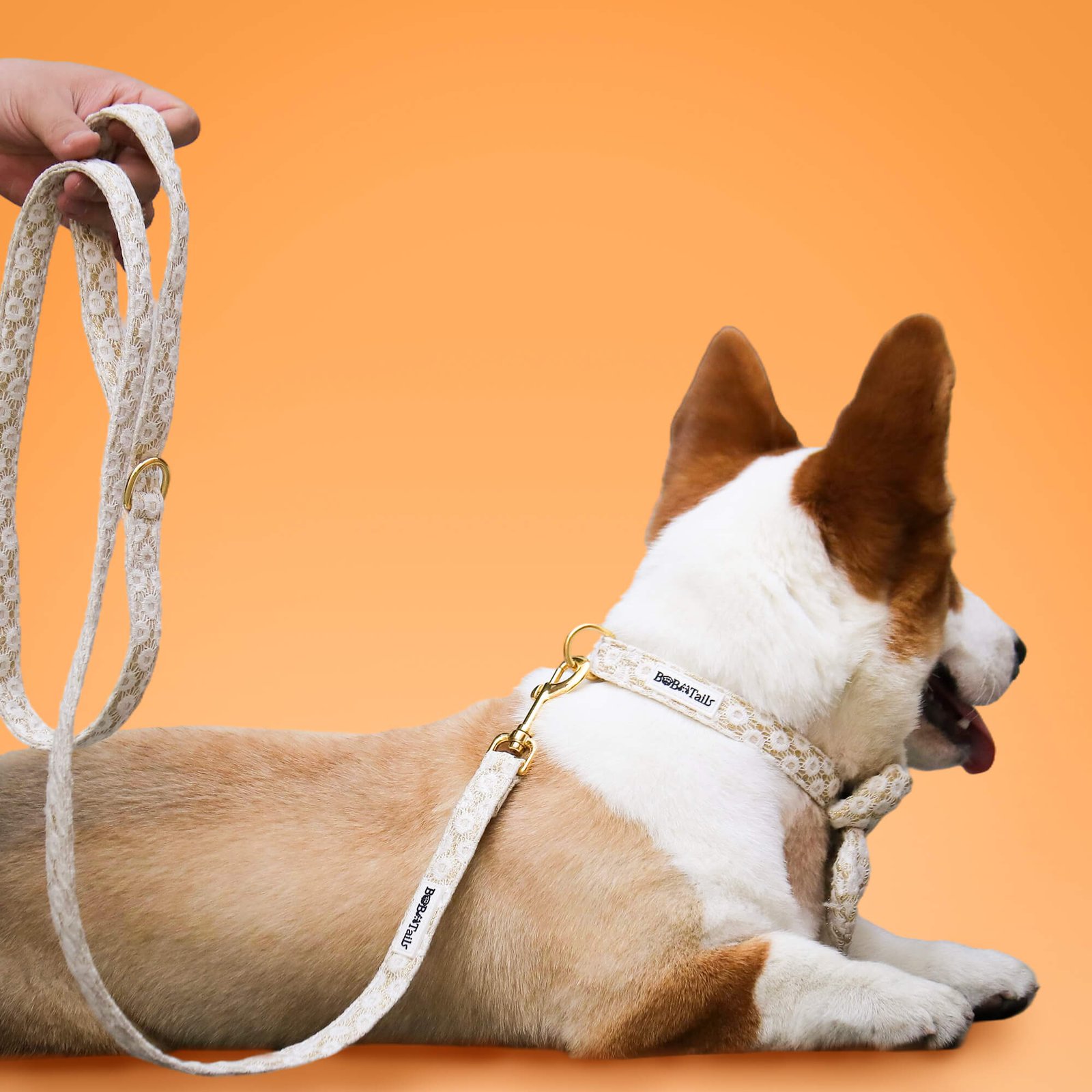 Floral Brillience Dog Leash - Image 3