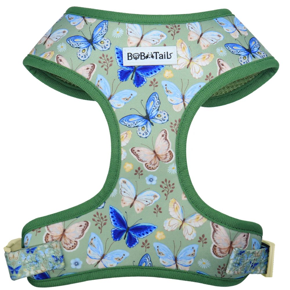Butterfly Print Dog Harness
