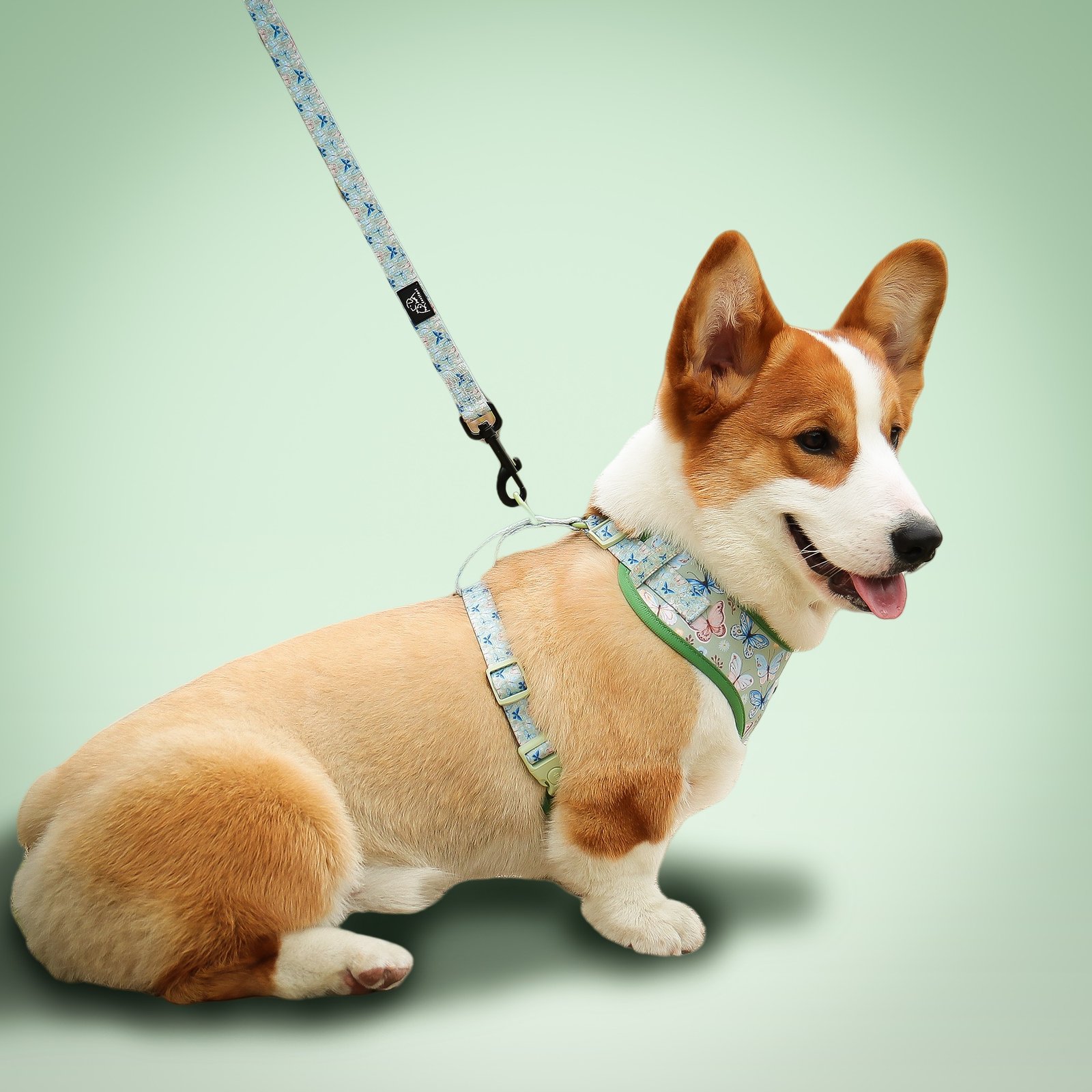 Butterfly Print Dog Leash - Image 6