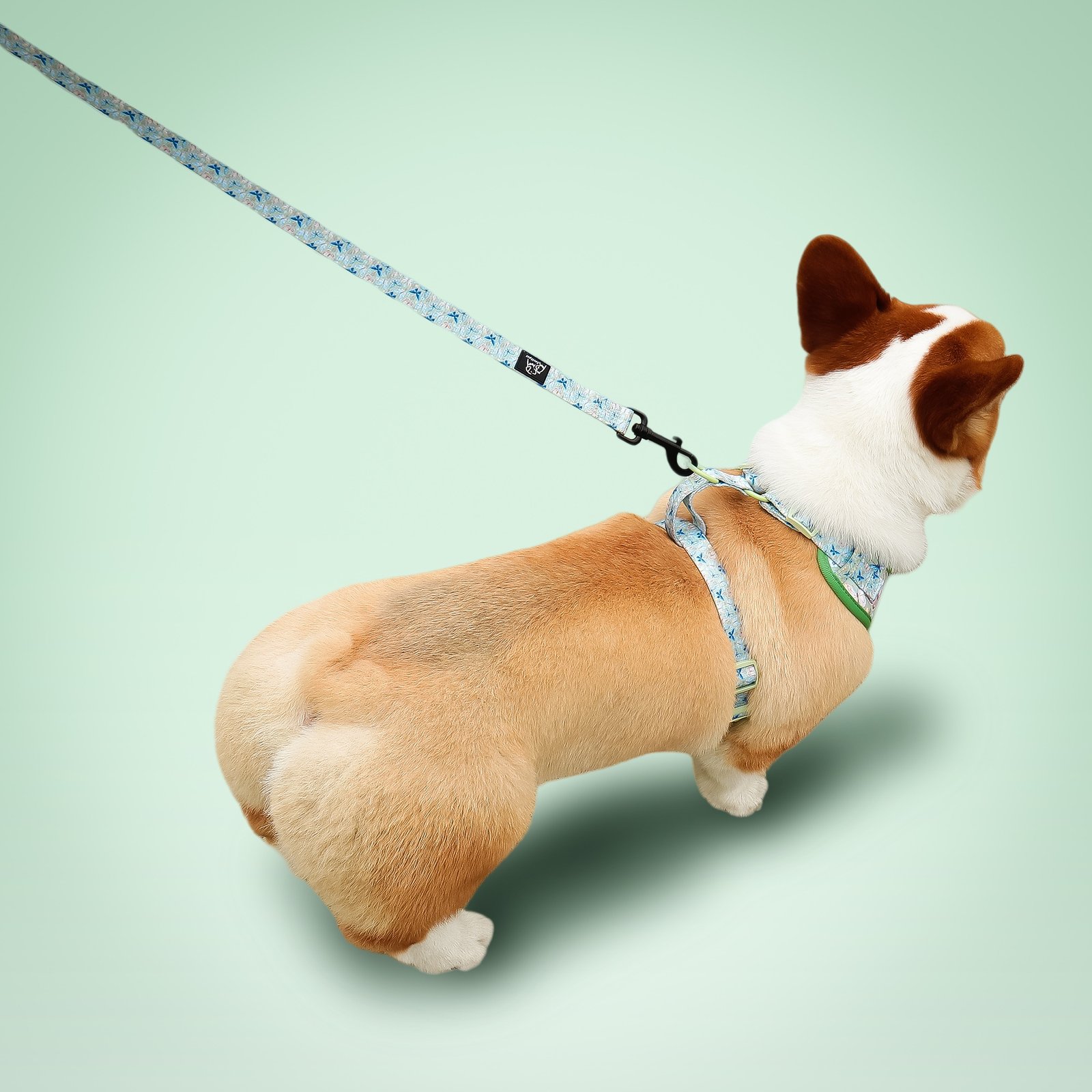 Butterfly Print Dog Leash - Image 7