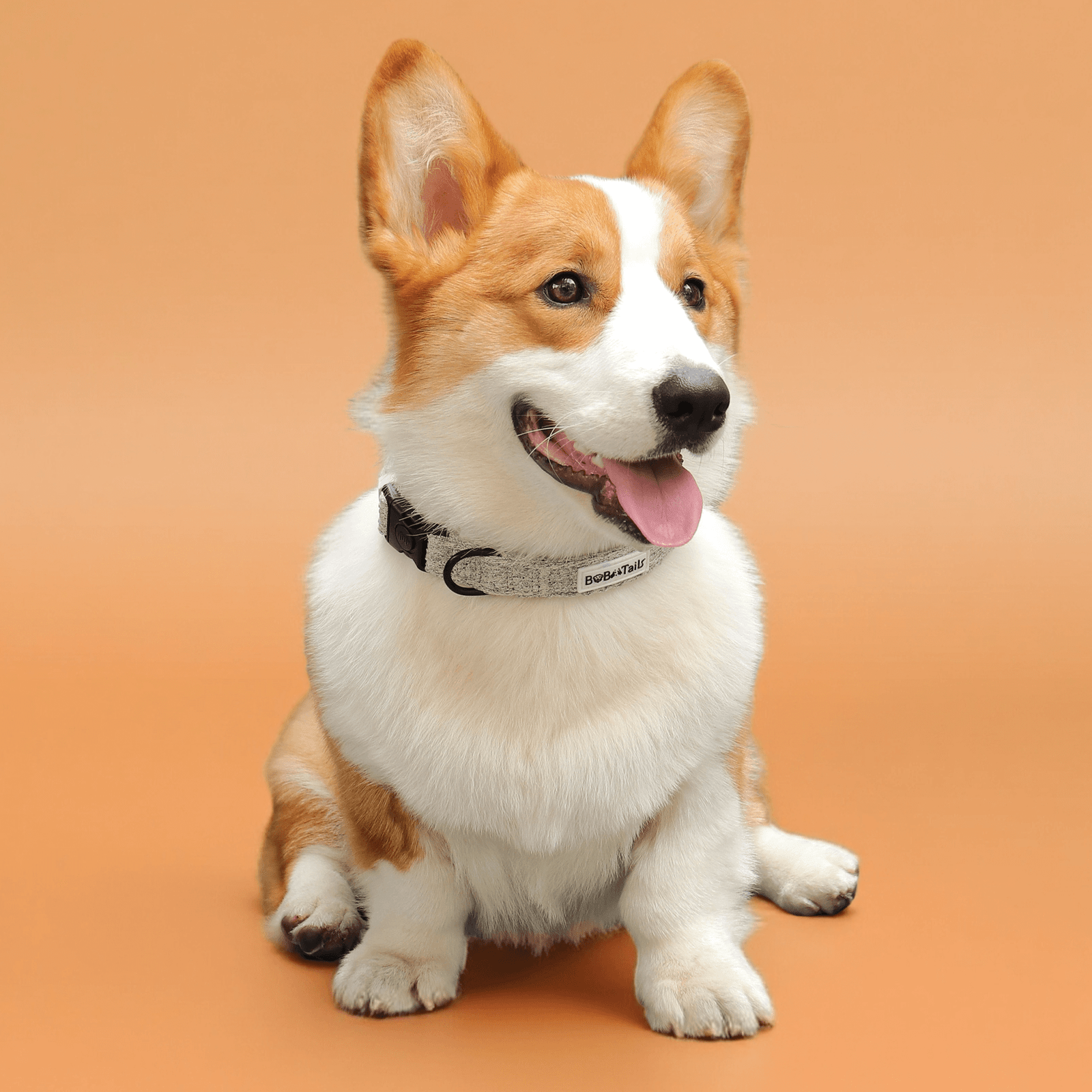 Chunky Knitted Dog Collar - Image 2