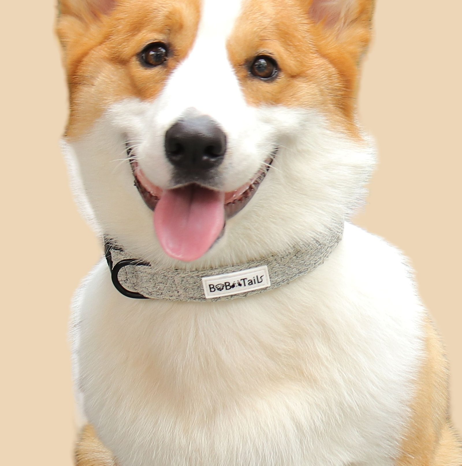 Chunky Knitted Dog Collar - Image 5