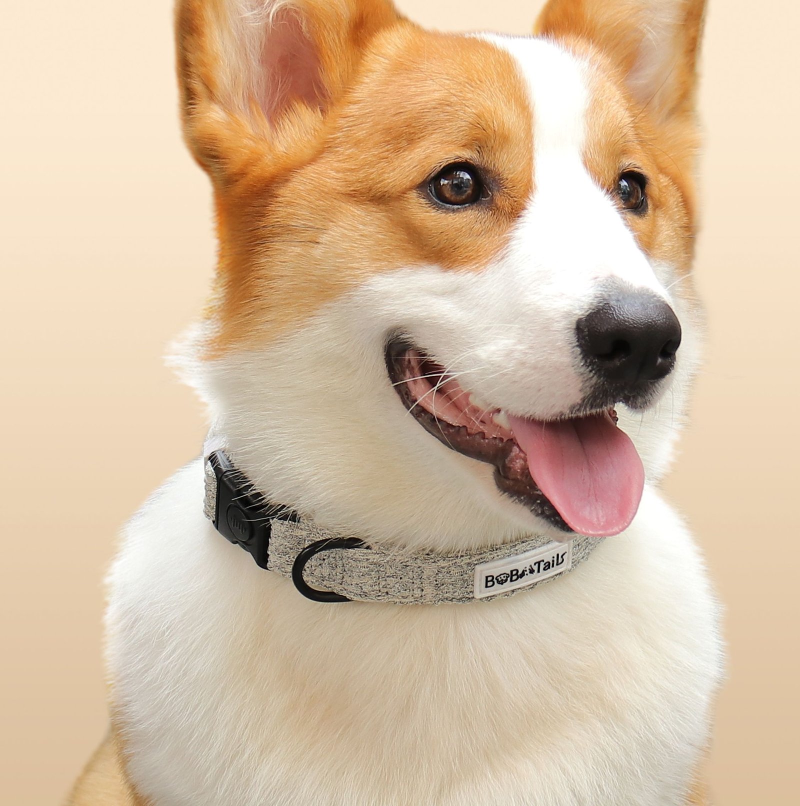 Chunky Knitted Dog Collar - Image 4