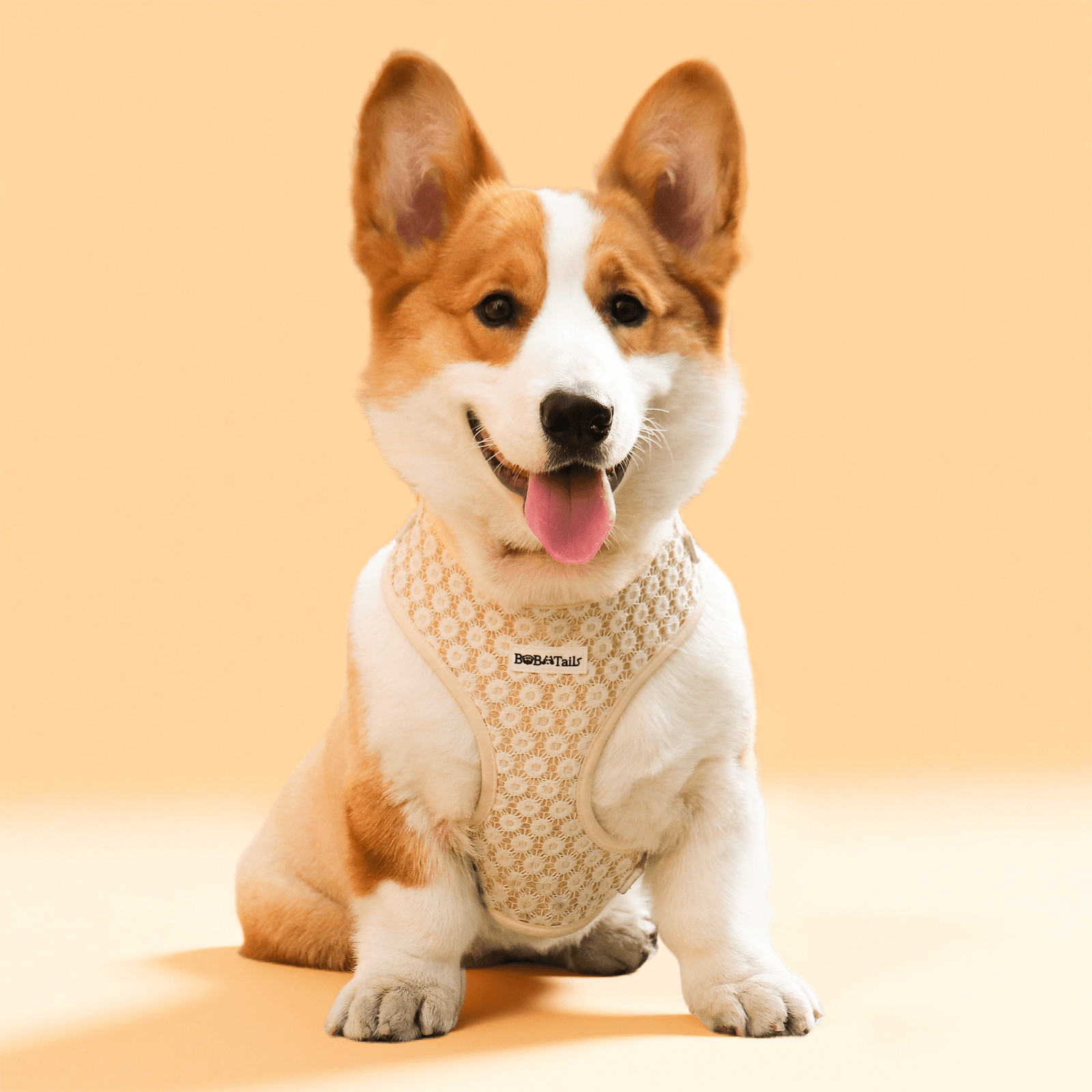 Floral Brillience Dog Harness - Image 2