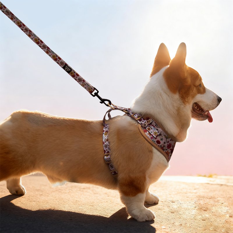 Flower Print Dog Leash - Image 6
