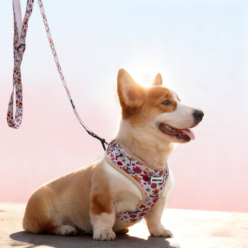 Flower Print Dog Leash - Image 2