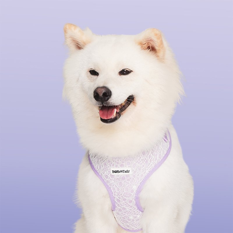 Lavender Lace Dog Harness - Image 2