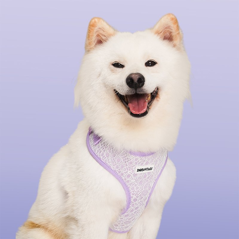 Lavender Lace Dog Harness - Image 5