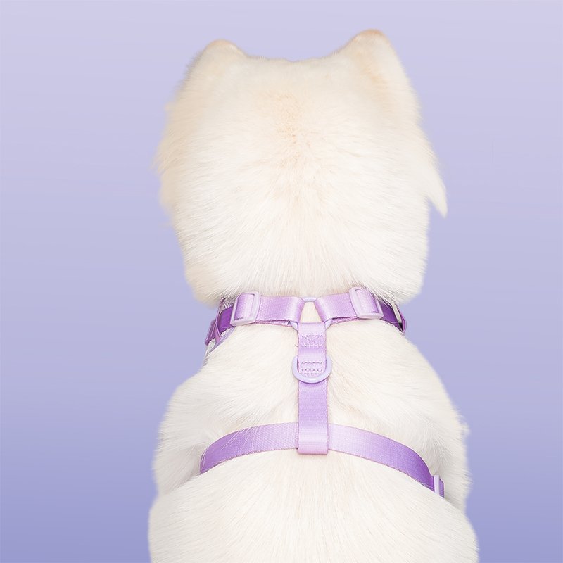 Lavender Lace Dog Harness - Image 4