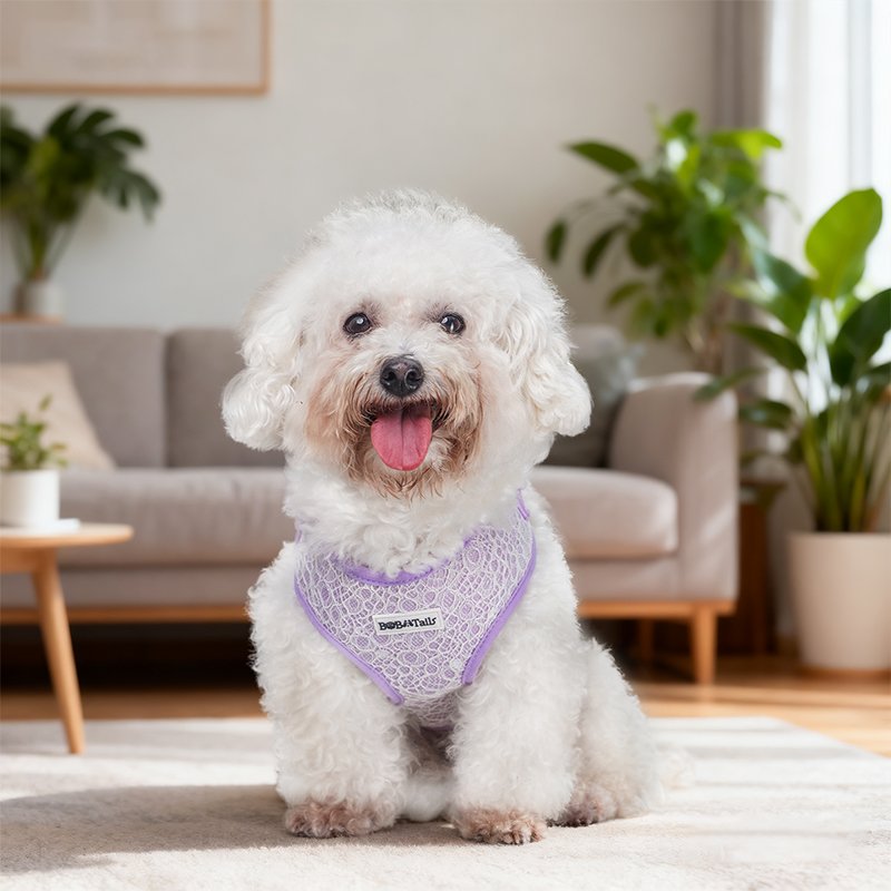 Lavender Lace Dog Harness - Image 6