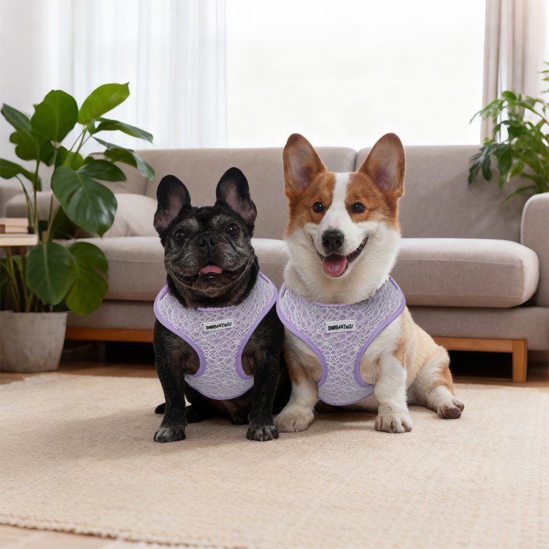 Lavender Lace Dog Harness - Image 7