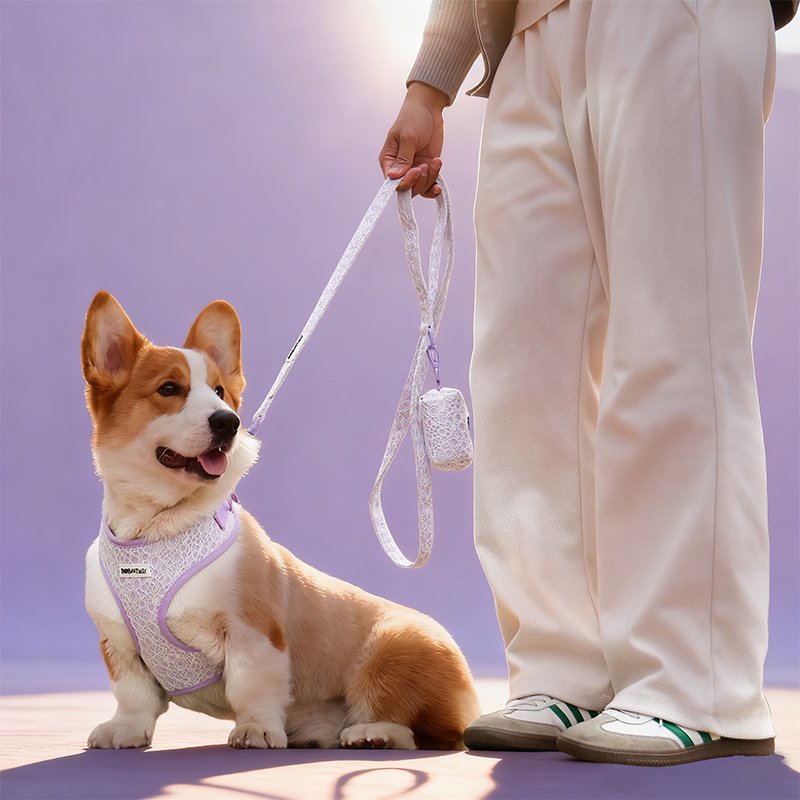 Lavender Lace Dog Leash - Image 3