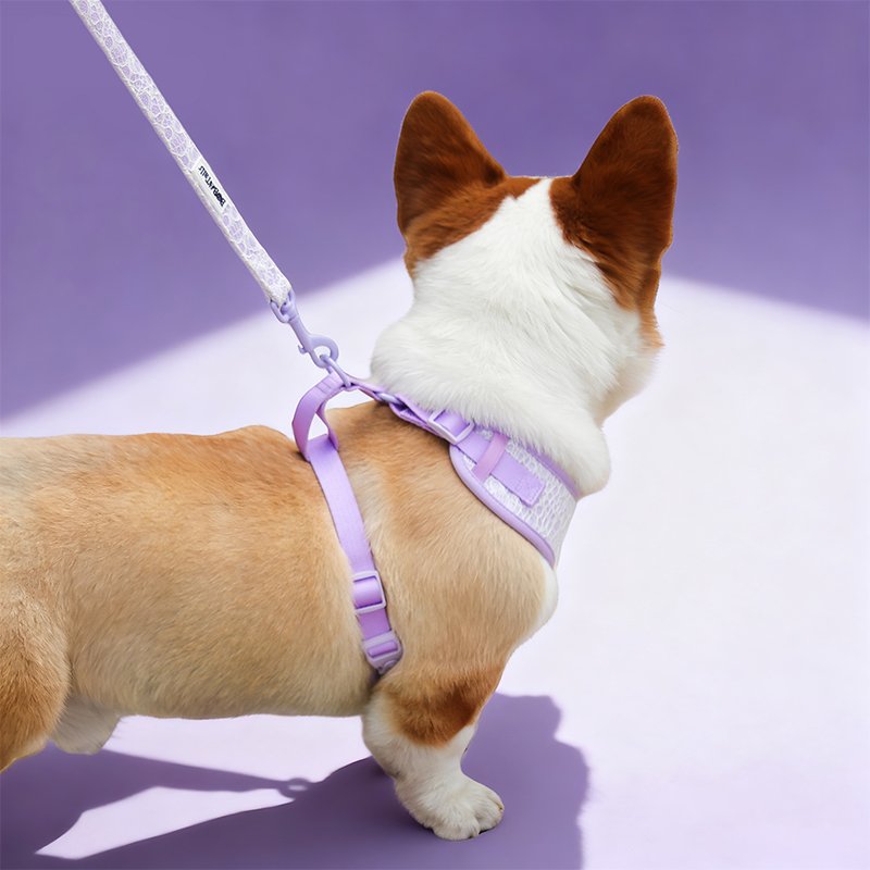 Lavender Lace Dog Leash - Image 2
