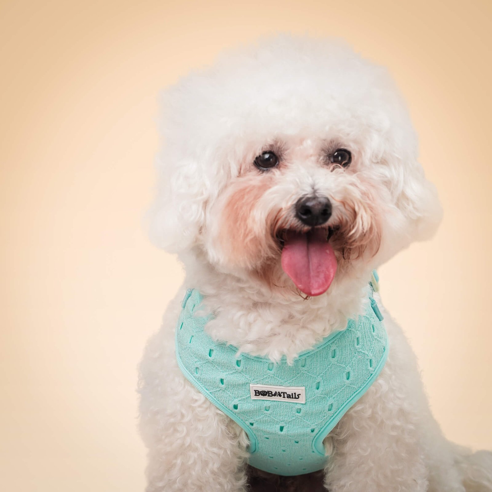 Silk Embroidery Dog Harness - Image 2