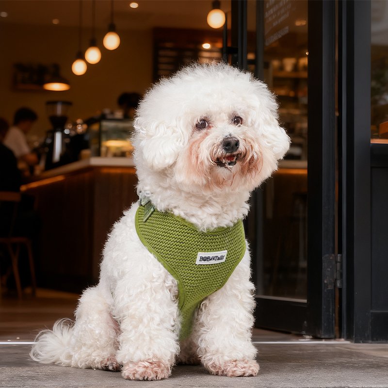 Sweater Dog Harness - Image 7