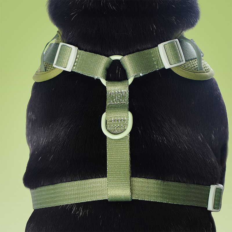 Sweater Dog Harness - Image 2