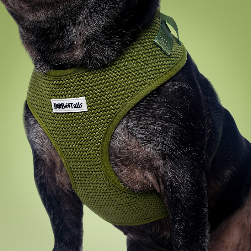 Sweater Dog Harness - Image 3